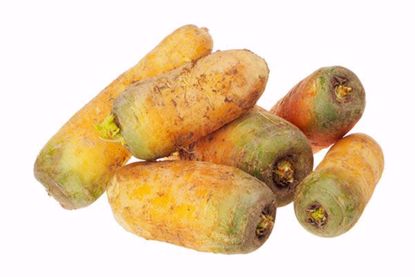 morkov_jeltaya_nemitaya